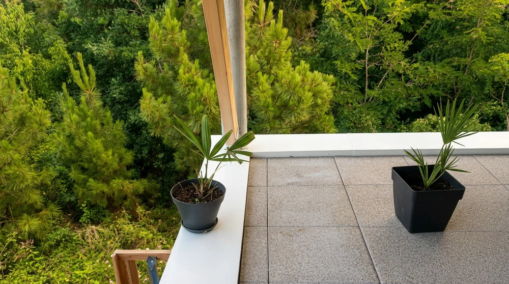 Terrasse en hauteur avec vue plongeante sur une forêt dense de pins et feuillus